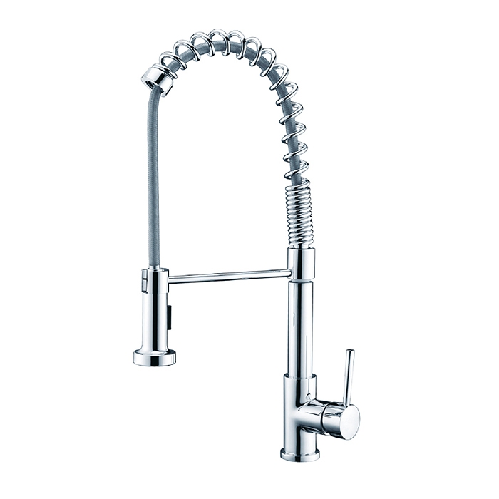 Double Spray Kitchen Pull-Out Sink Faucet