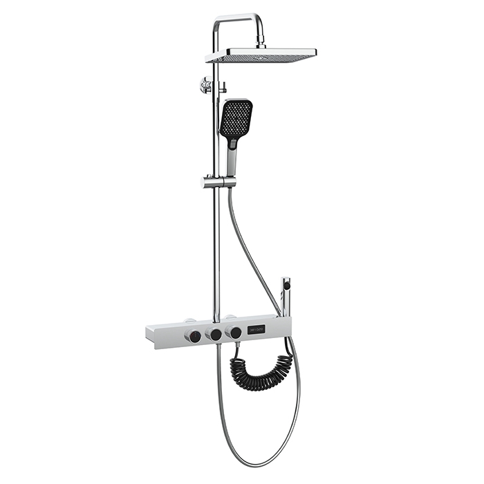 Gray and White Thermostatic Shower System